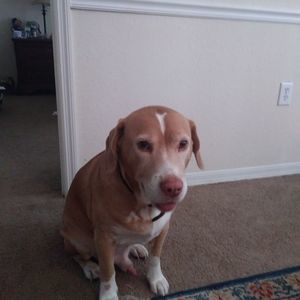 Meet your Posher, Freddi